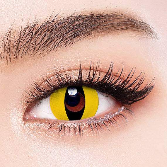 yellow cat eyes contacts